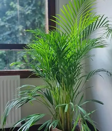 Appartement Nuevo, Luminoso Y Centrico. Parking Gratis Bilbao