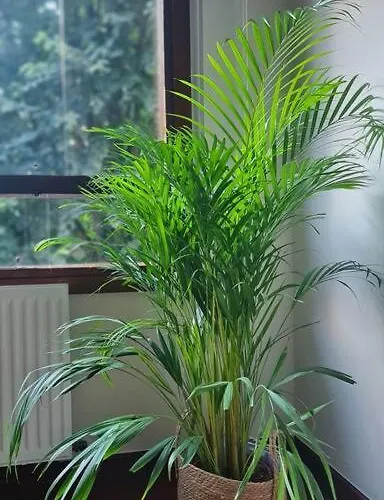 Apartamento Nuevo, Luminoso Y Centrico. Parking Gratis Bilbau